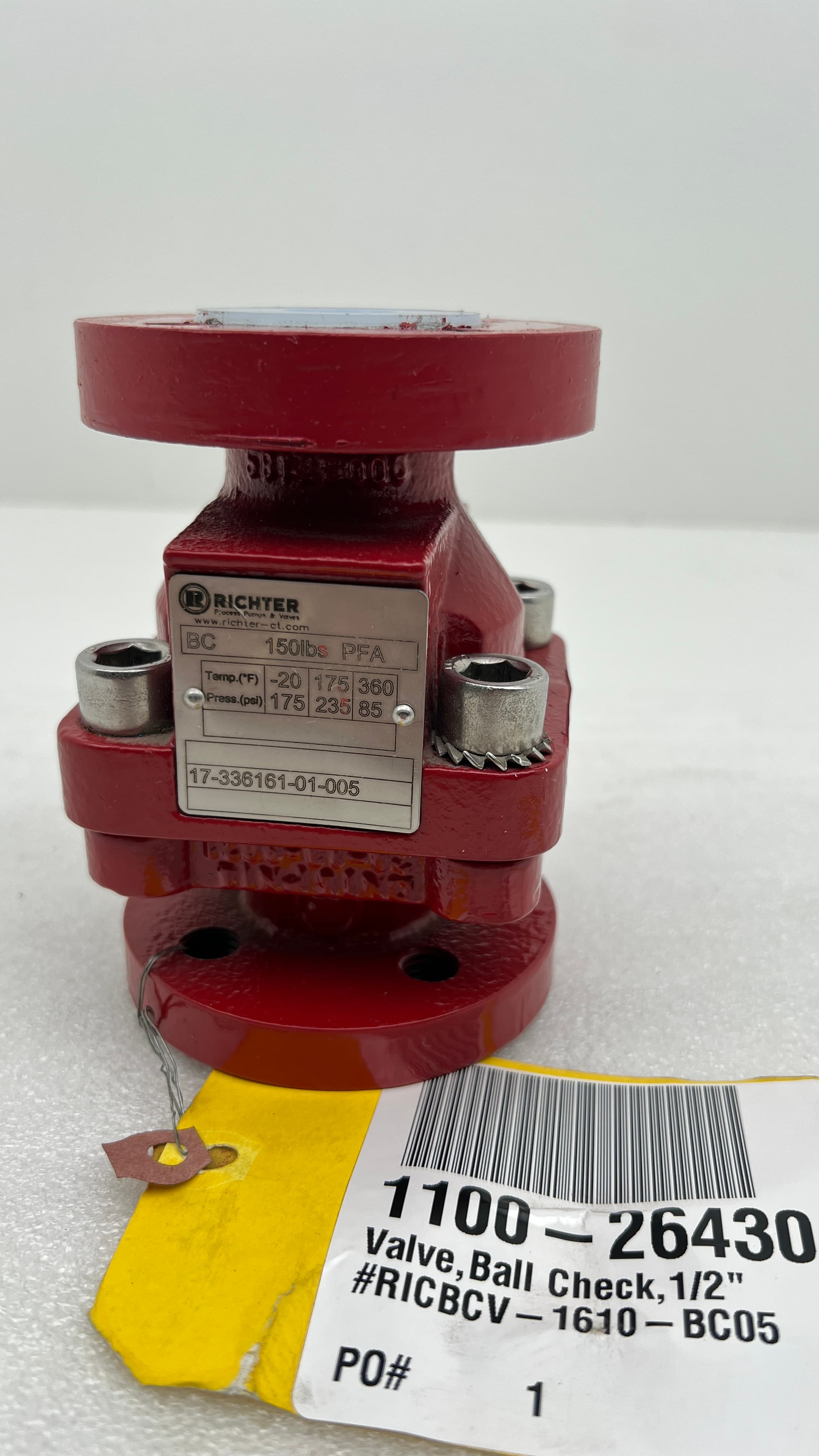 Richter 17-336161-01-005 1/2" PFA Lined Ball Check Valve
